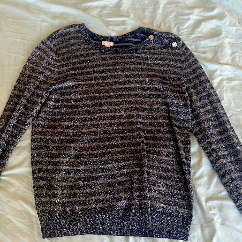 Blue and silver striped sweater.